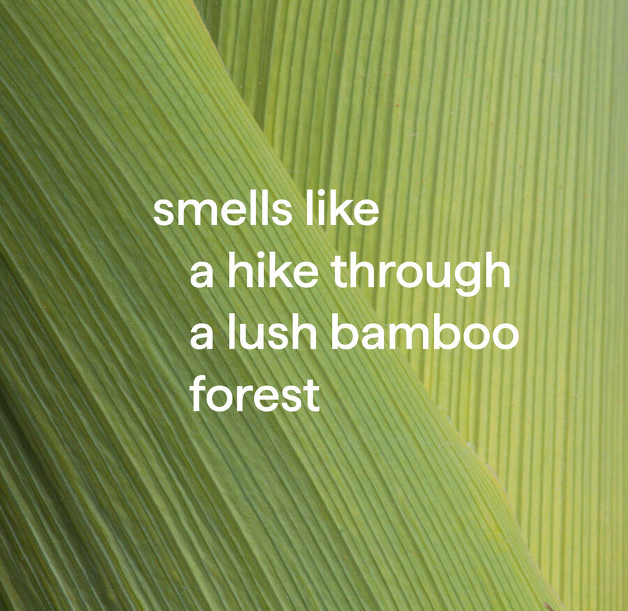 nettoyant antibactérien tout usage