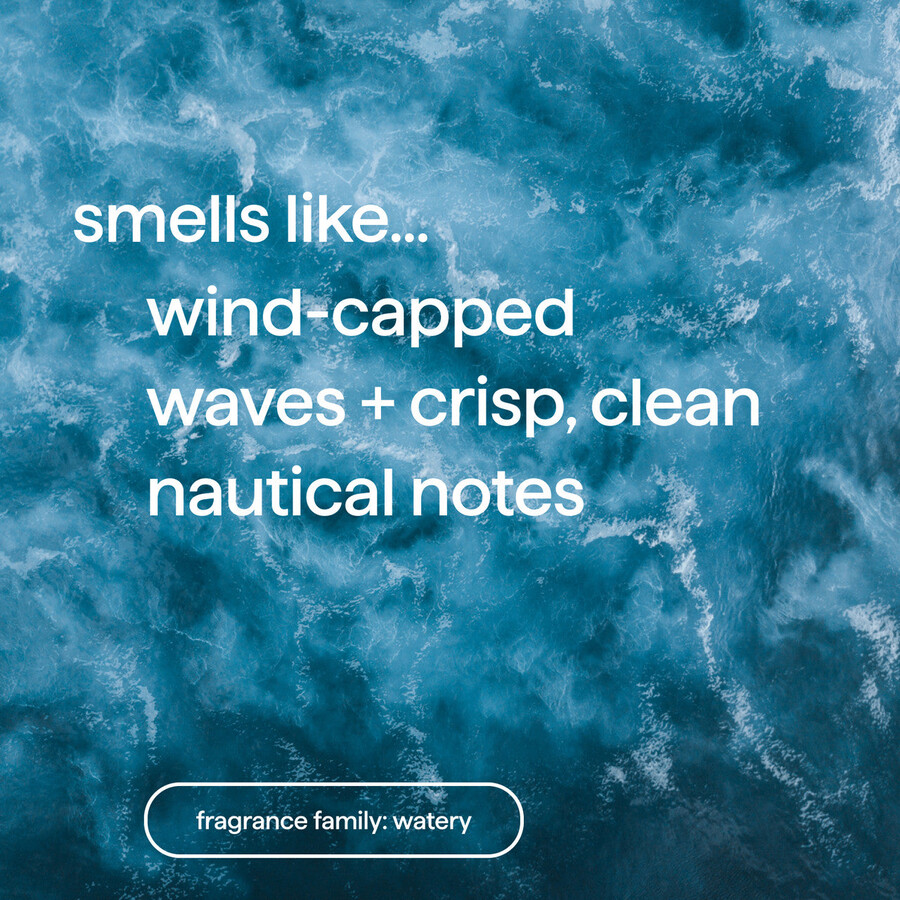 savon en barre - 2 barres