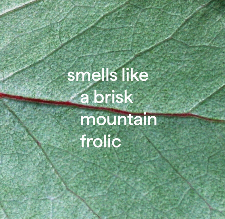 nettoyant pour salle de bain