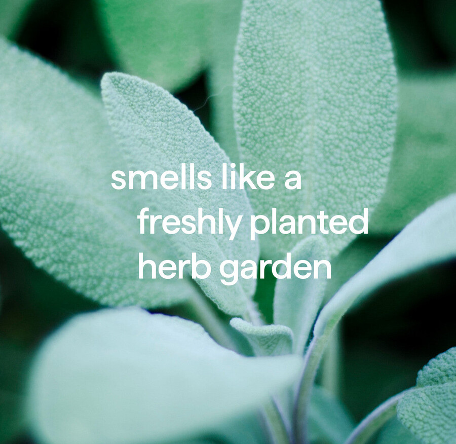 nettoyant pour sols durs squirt mop