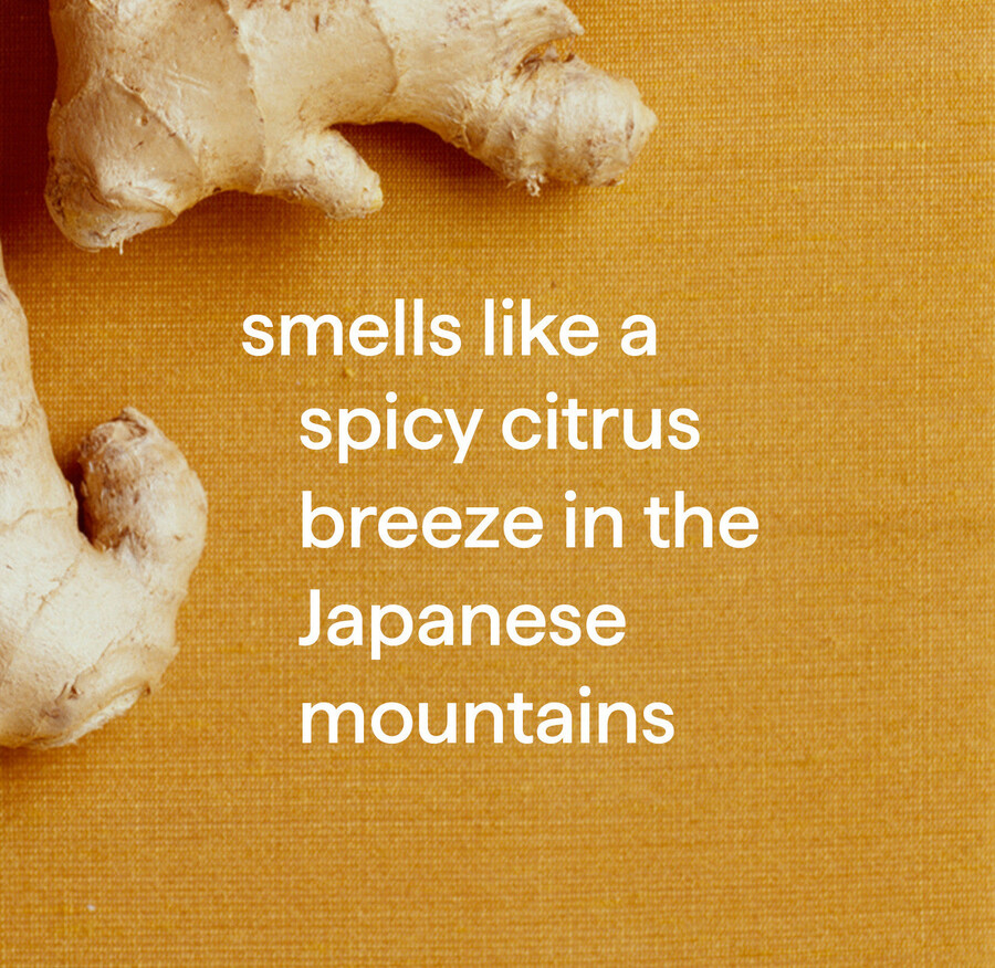 nettoyant pour sols durs squirt mop