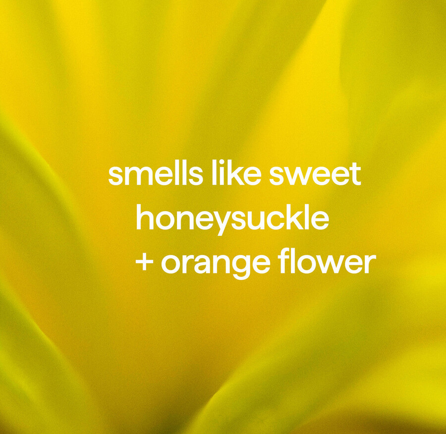 savon moussant pour les mains