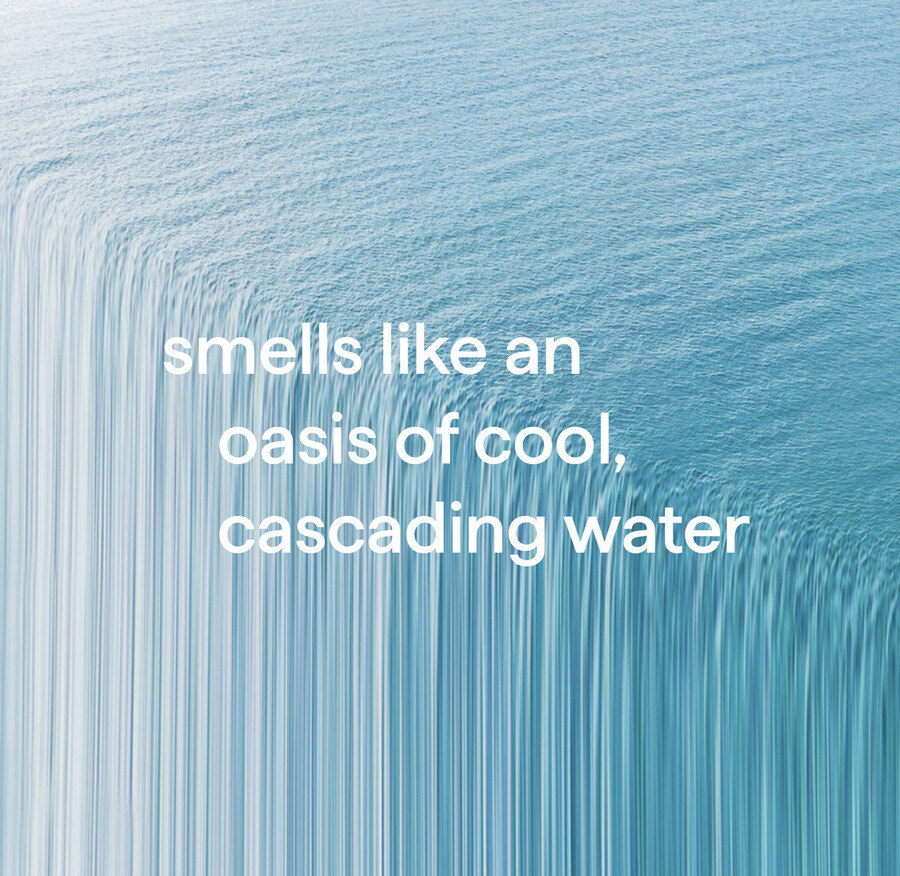 savon moussant pour les mains