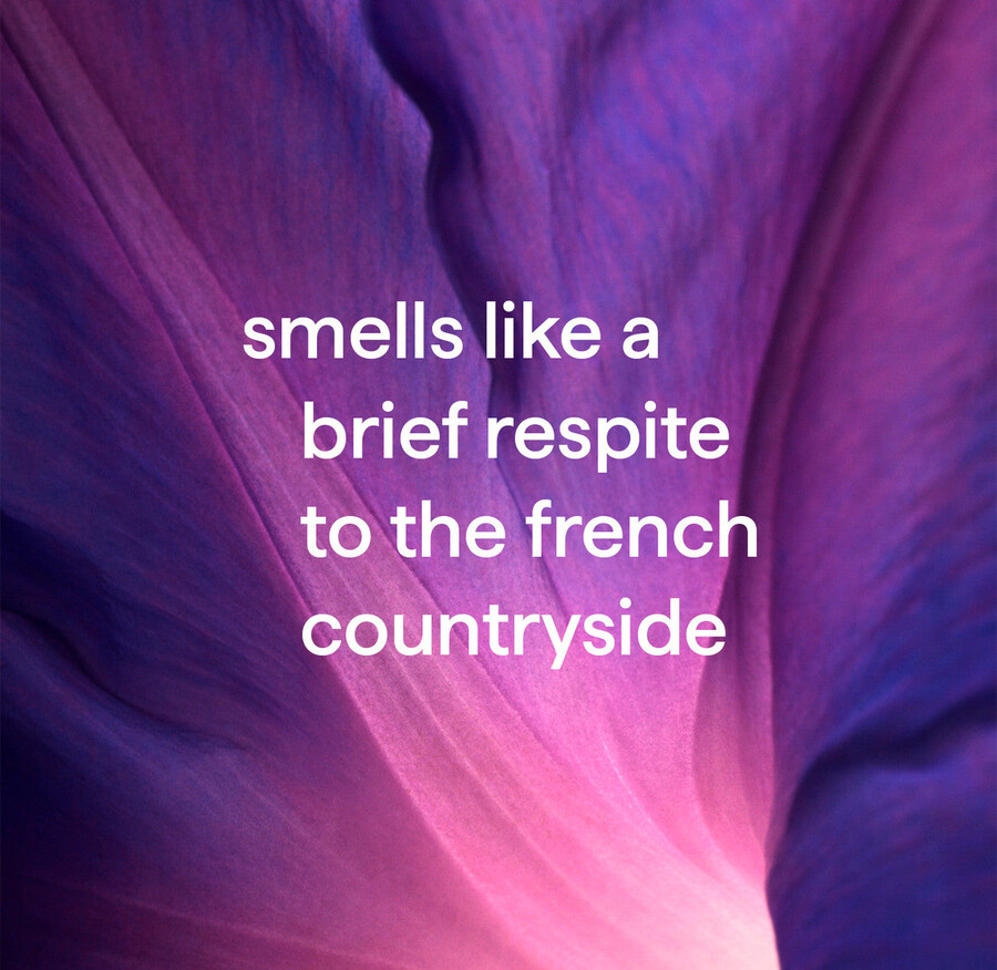 savon moussant pour les mains