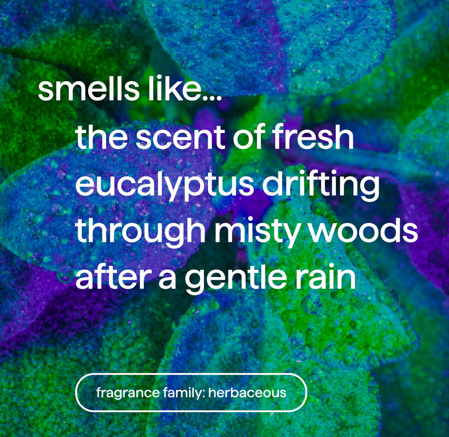 savon moussant pour les mains