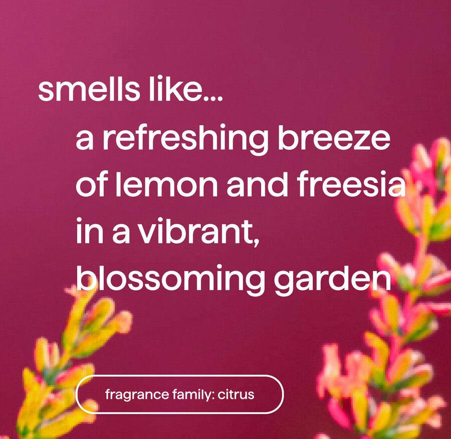 savon moussant pour les mains