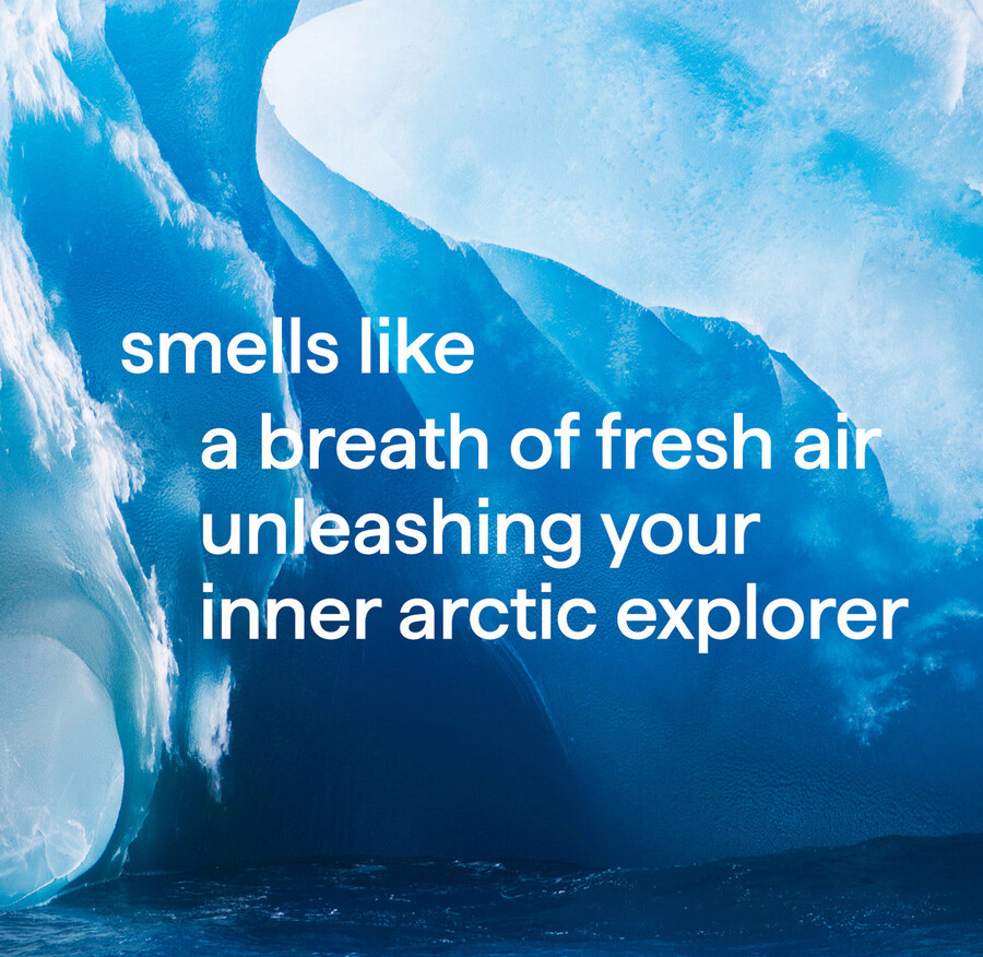 shampoing et après-shampoing 2 en 1