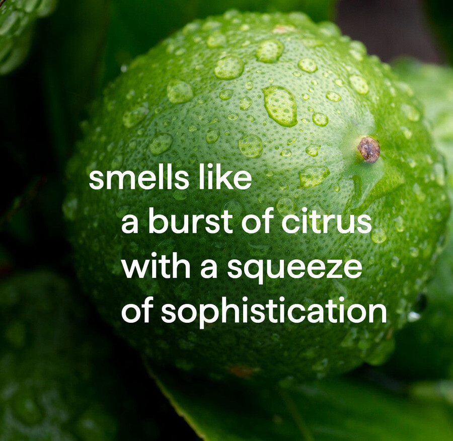 shampoing et après-shampoing 2 en 1