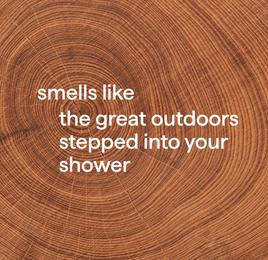 shampoing et après-shampoing 2 en 1