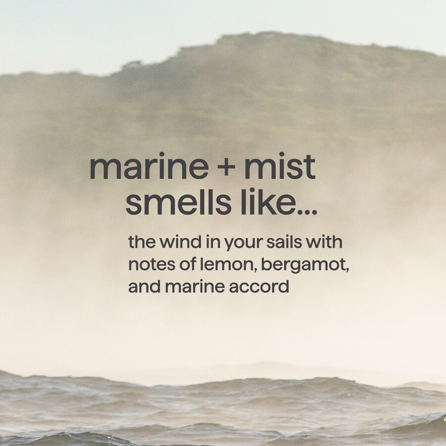 shampoing et après-shampoing 2 en 1