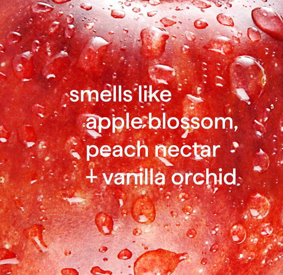 recharge quotidienne de nettoyant pour granit