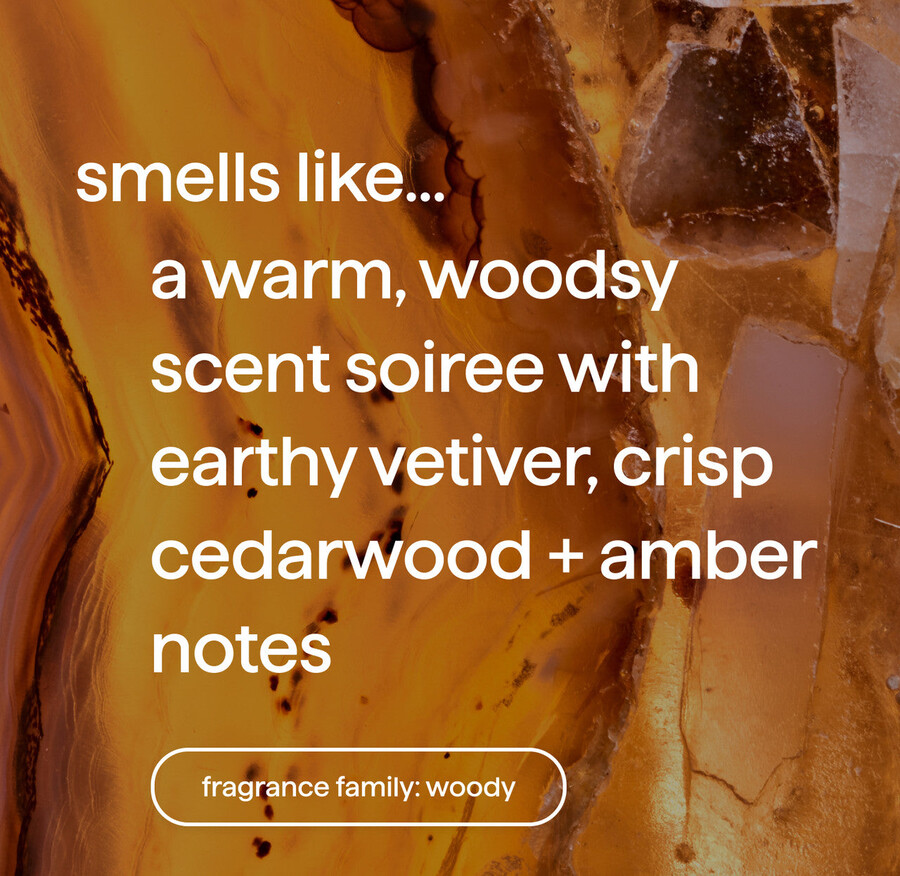 kit de démarrage pour savon liquide pour les mains