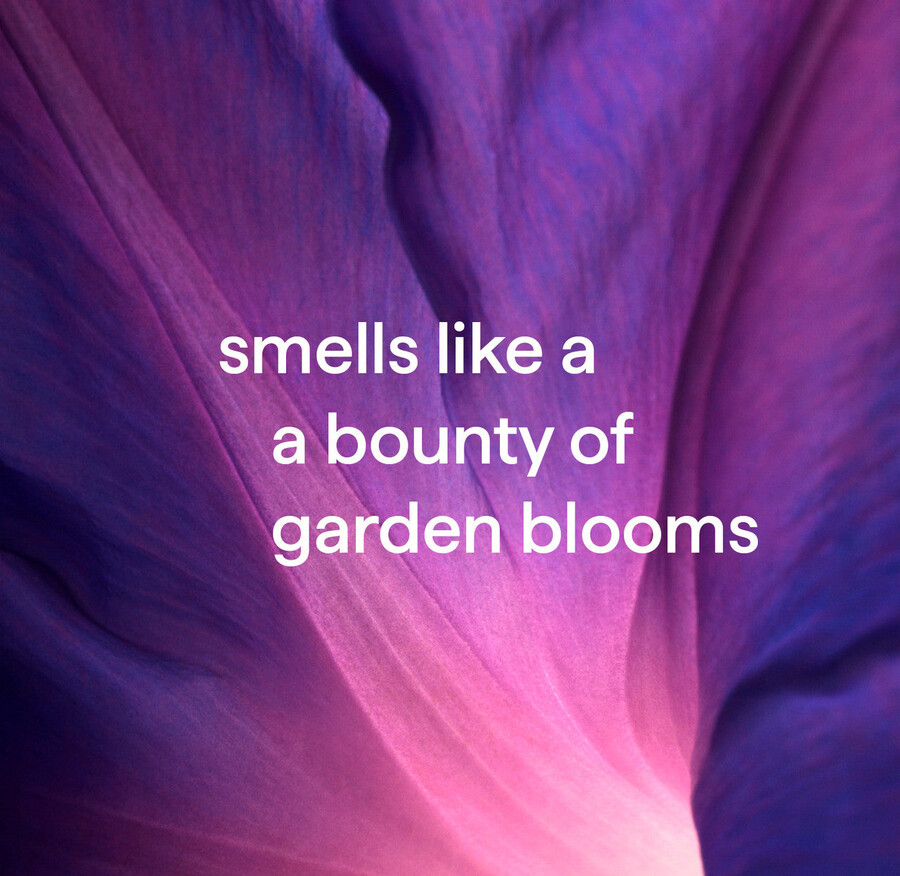 kit de démarrage pour savon moussant pour les mains